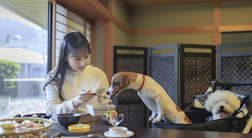 Corredor Yugawara Dog＆Resort 热海 外观 照片