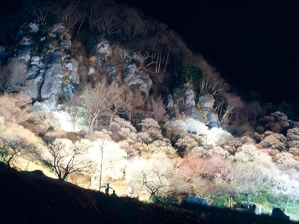 Corredor Yugawara Dog＆Resort 热海 外观 照片