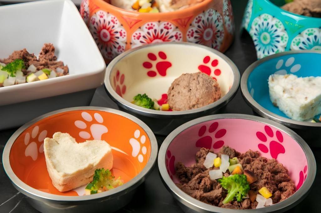 Corredor Yugawara Dog＆Resort 热海 外观 照片