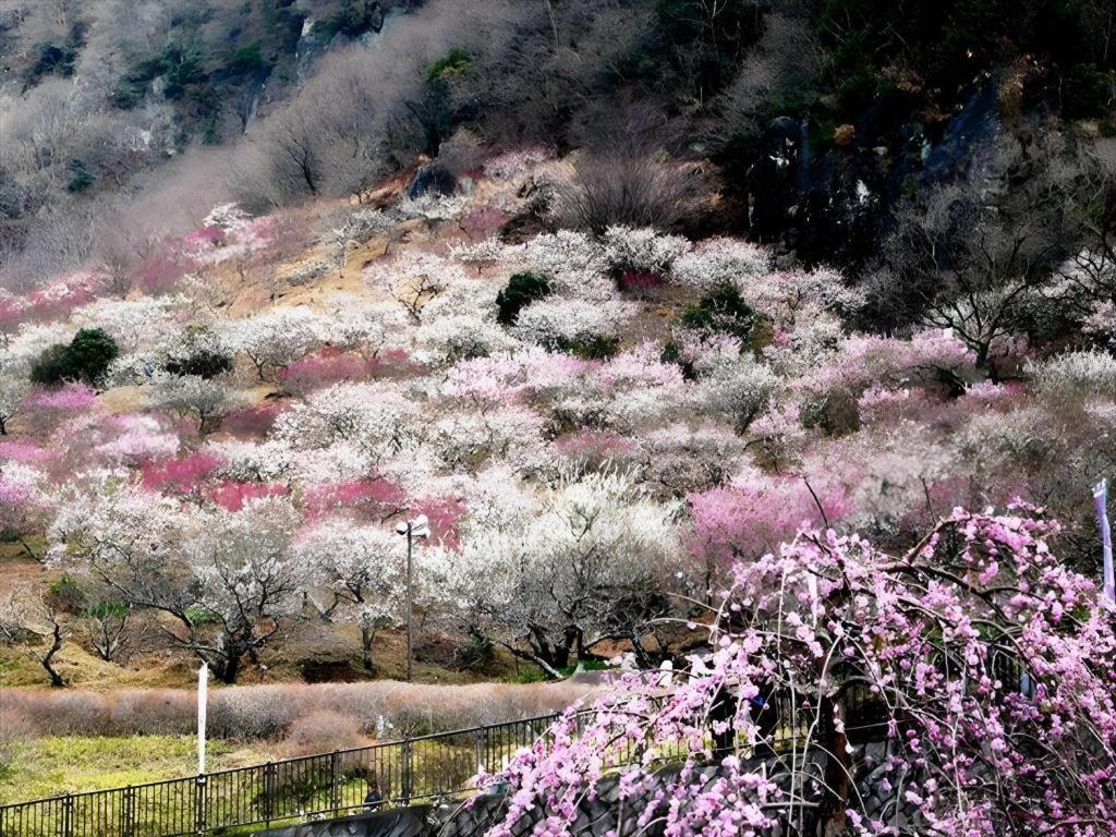 Corredor Yugawara Dog＆Resort 热海 外观 照片